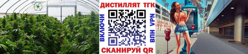 ТГК жижа Великие Луки