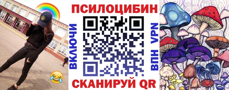 Купить где  Великие Луки  Псилоцибиновые грибы MAGIC MUSHROOMS 