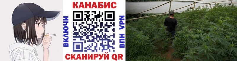Купить  Великие Луки  Канабис ГИДРОПОН 
